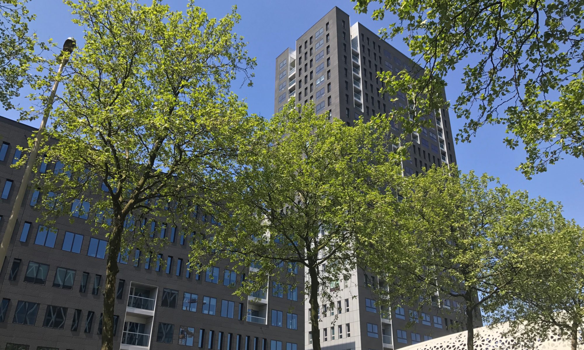 London Tower tussen de bomen aan ’t Eilandje, gezien vanaf de straat
